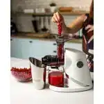 Juicing red currants in the Sana 727 Supreme