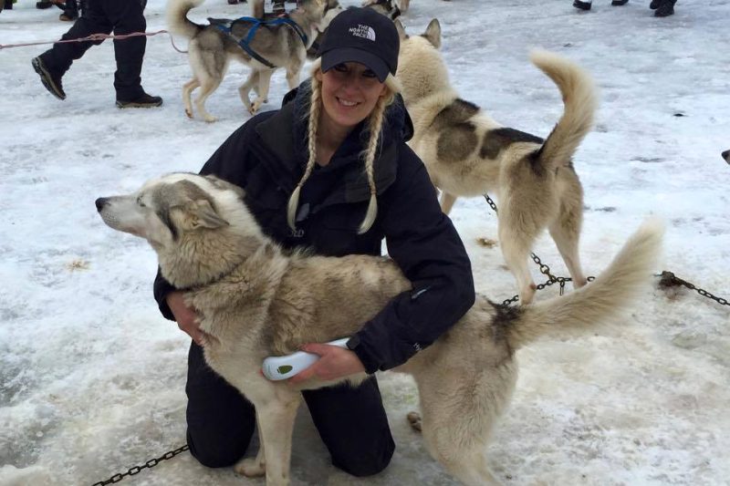 Photizo Vetcare used on a husky