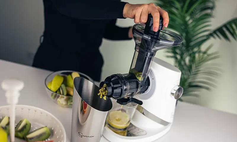 EcoHub Reviews - Sana Juicer