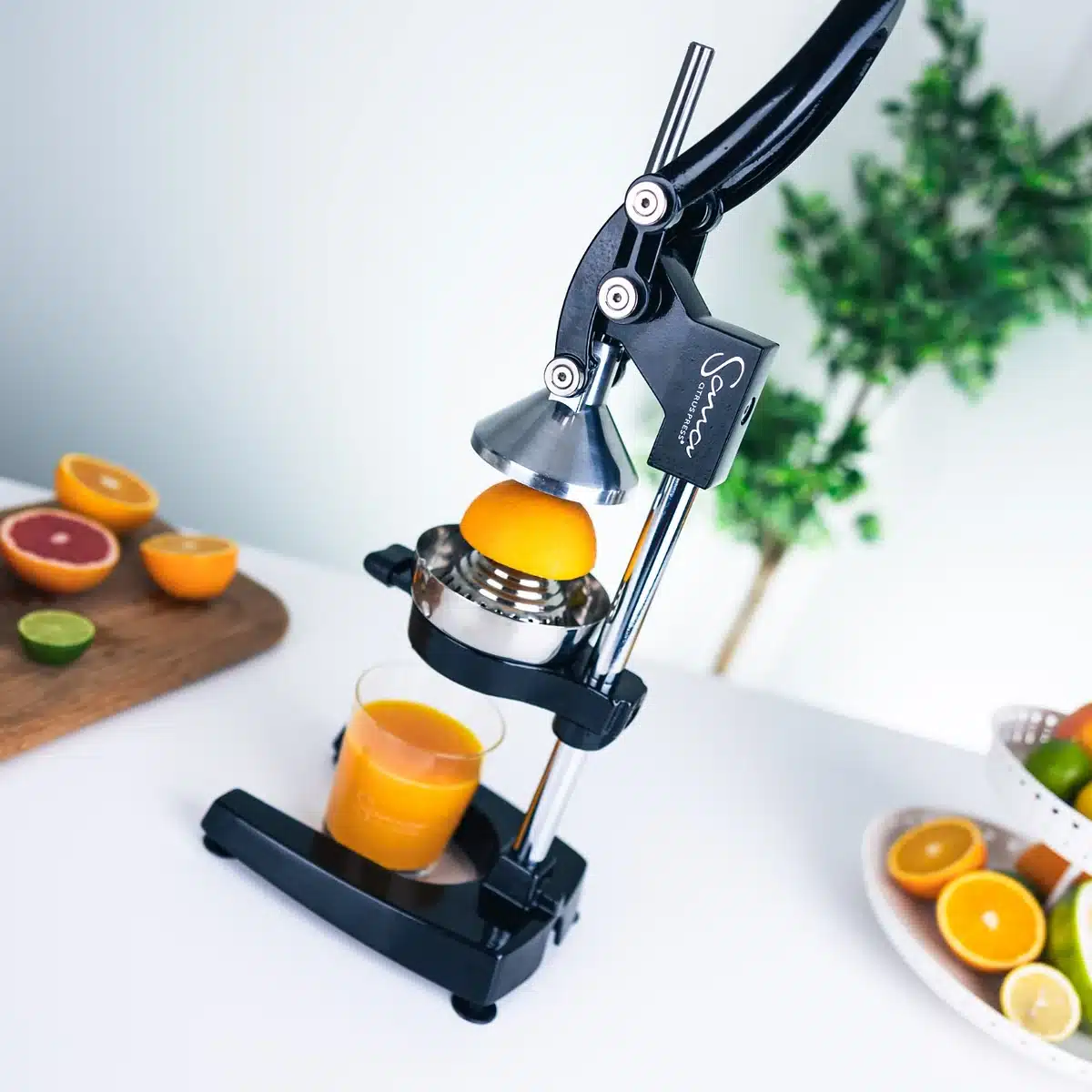 Sana Heavy-Duty Cast-Iron Manual Citrus Press – Professional Stainless-Steel Juicer - Image 11