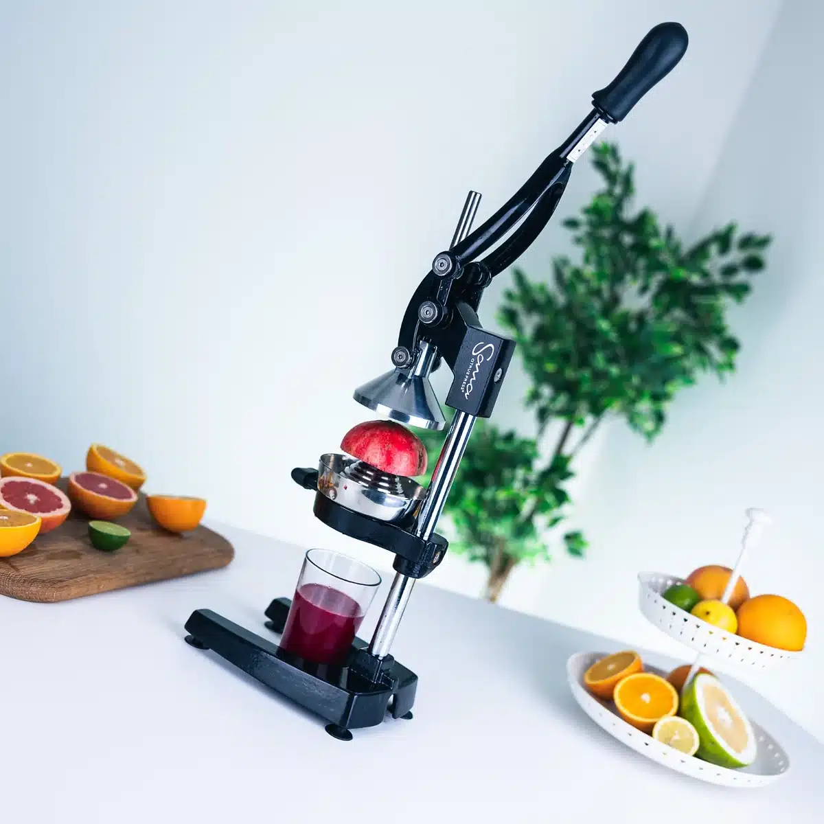 Sana Heavy-Duty Cast-Iron Manual Citrus Press – Professional Stainless-Steel Juicer - Image 6