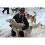 Photizo Vetcare used on a husky