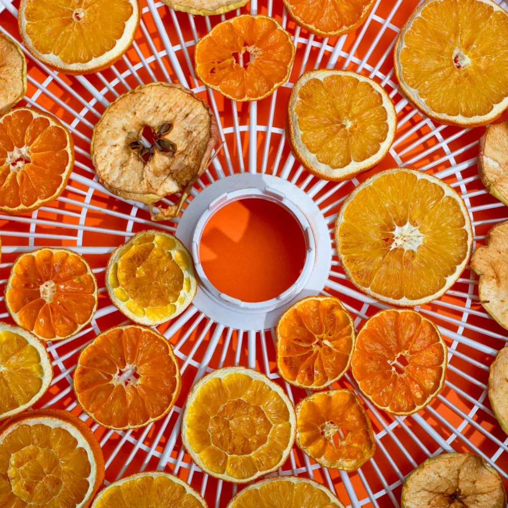 Dehydrated orange and apple slices on a tray
