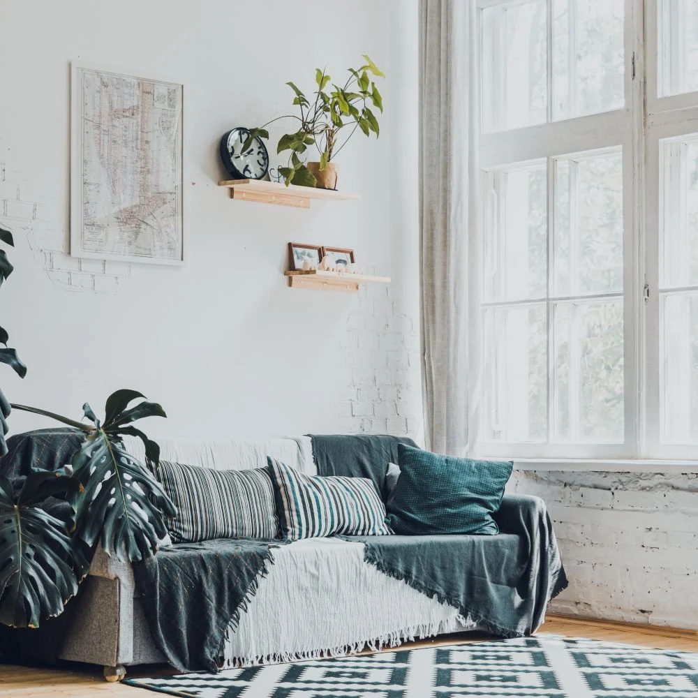 Bright living room with a sofa, monstera plants and large windows