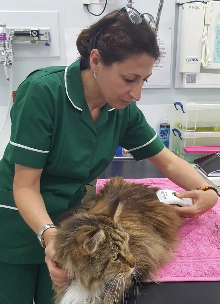 A vet using the Photizo Vetcare on a cat