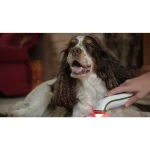 Photizo Vetcare used on a spaniel’s front leg