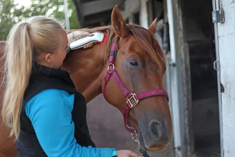 Photizo Vetcare used on a horse’s face