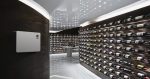 Solenco Fairland Inverter-Plus dehumidifier wall-mounted in a wine cellar