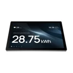 EcoFlow PowerInsight 2 home energy monitor
